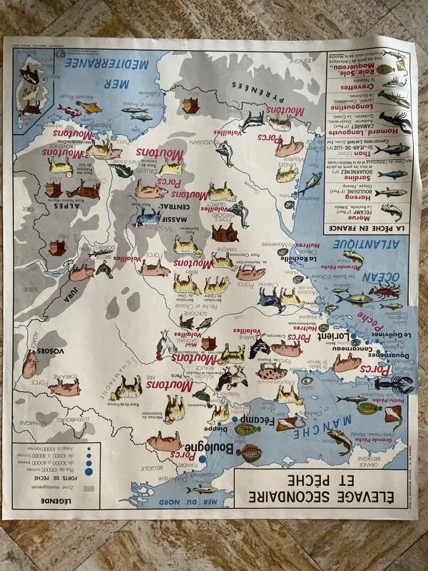 Illustration numéro 2 du produit Affiche scolaire vintage