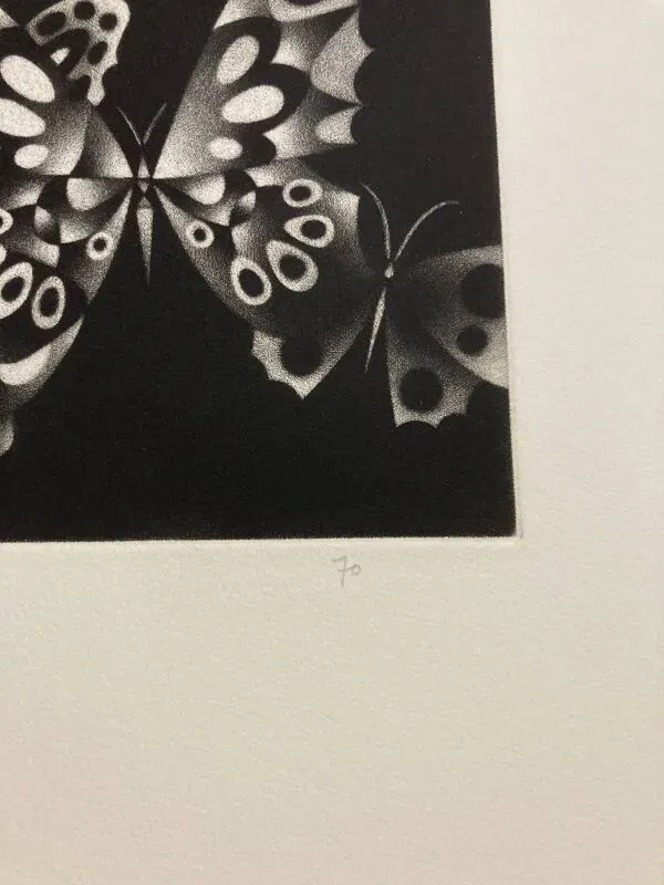 Illustration numéro 2 du produit Mario avati (1921-2009), papillons, manière noire, 1970
