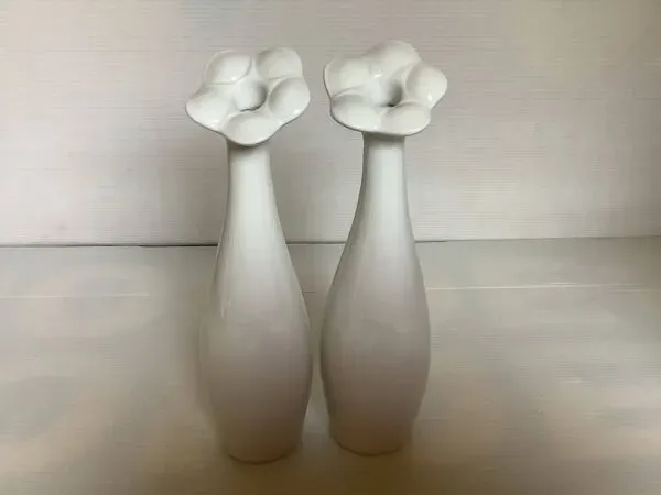 Illustration numéro 2 du produit Duo de vases soliflores en forme de quille