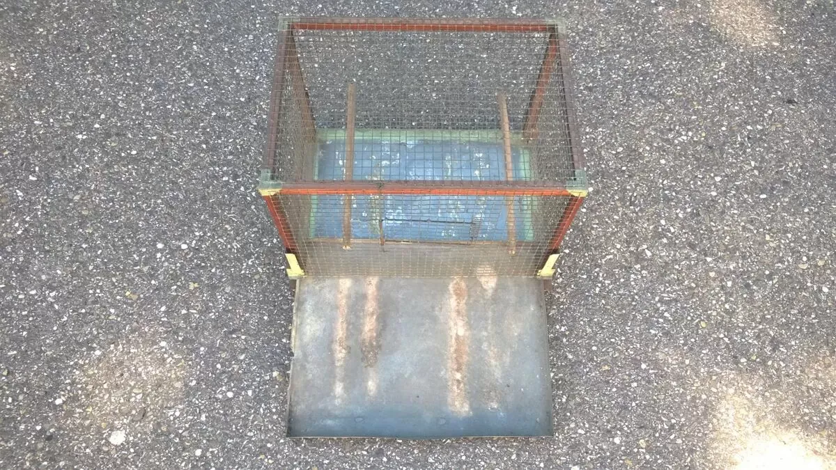 Illustration numéro 2 du produit Cage à oiseaux art populaire ancien