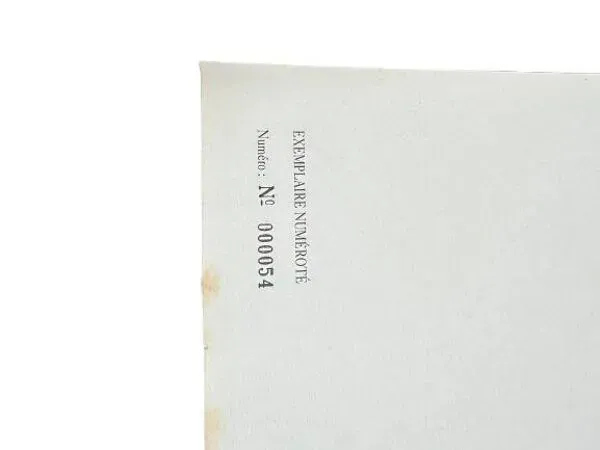 Illustration numéro 2 du produit Gravure ''école normale supérieure'' de Pierre Petit