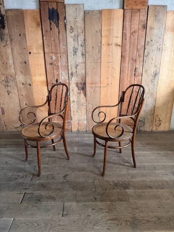 Illustration numéro 2 du produit Ensemble de salon bistrot en bois courbé fin XIXᵉ siècle début XX eme