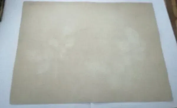 Illustration numéro 2 du produit Dessin d'école,d'étude années 20 ''Rose