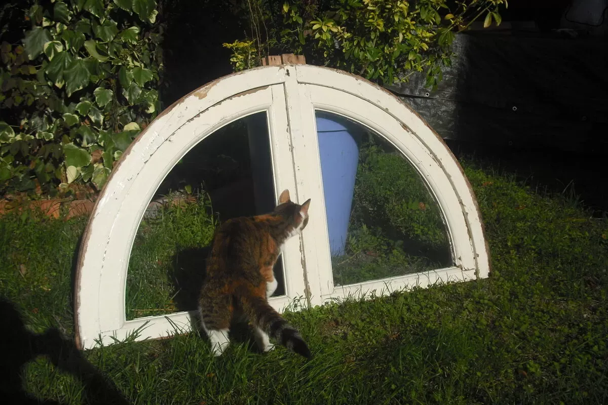 Illustration numéro 2 du produit Imposte