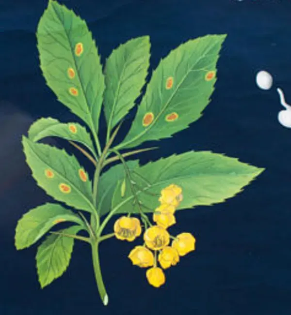 Illustration numéro 2 du produit Affiche murale de l’école de Jung-Koch-Quentell 1970