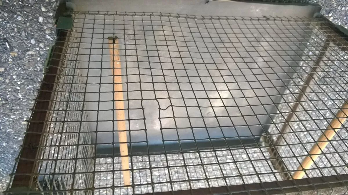 Illustration numéro 2 du produit Cage à oiseaux ancienne