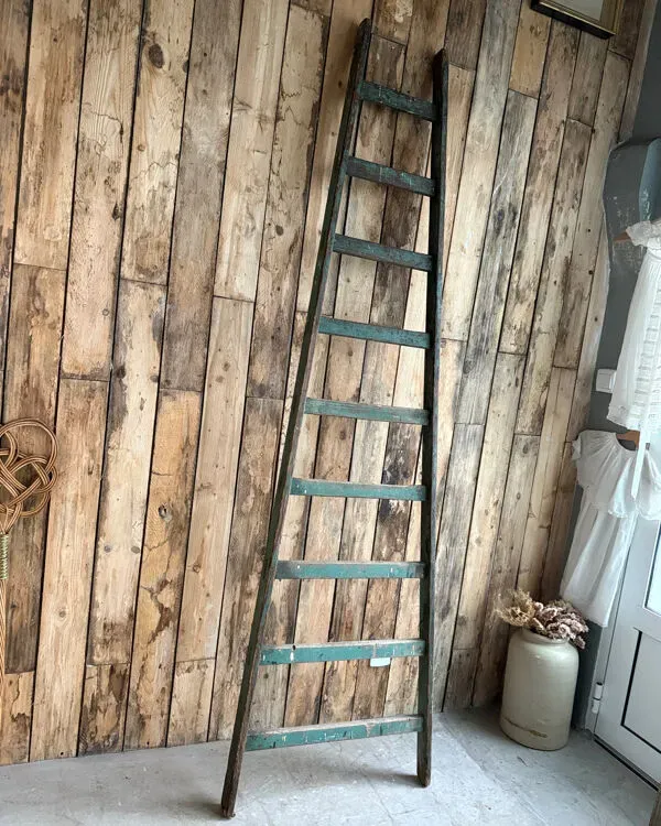 Illustration numéro 2 du produit Ancienne échelle patine verte