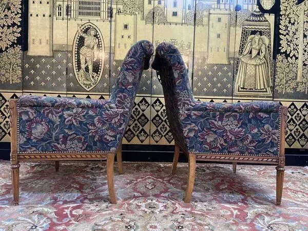 Illustration numéro 2 du produit Paire de fauteuils - bergères de style Louis XVI fleurs