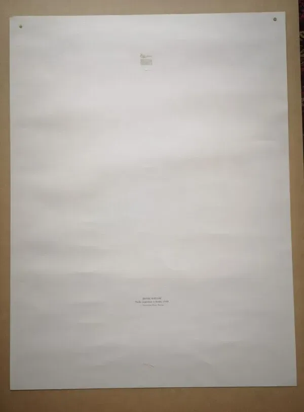 Illustration numéro 2 du produit Lithographie Nadia regardant à droite, d'après Henri Matisse - 1948