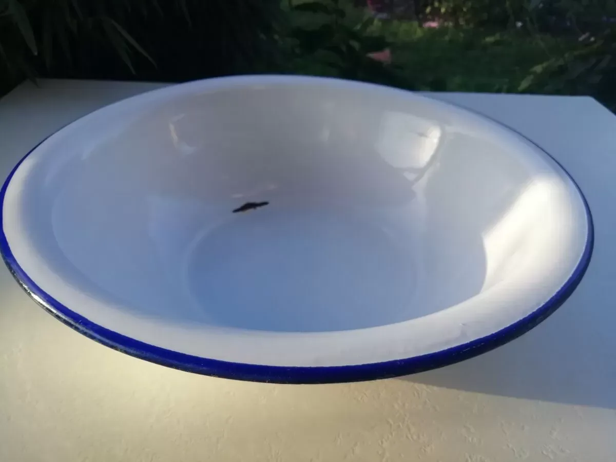 Illustration numéro 2 du produit Bassine en tôle émaillée