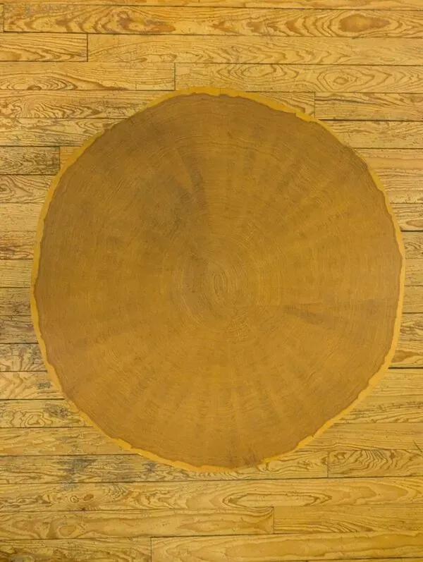 Illustration numéro 2 du produit Table basse ''Alburni'' - Cinna / Ligne Roset - LucidiPevere