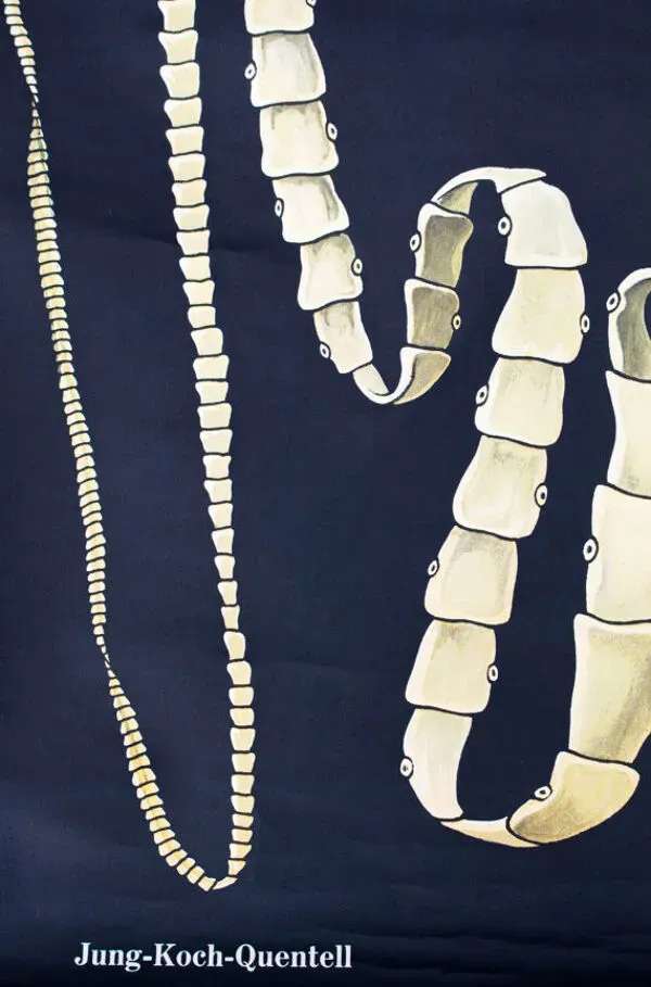 Illustration numéro 2 du produit Affiche murale de l’école de Jung-Koch-Quentell ''worms'' 1972