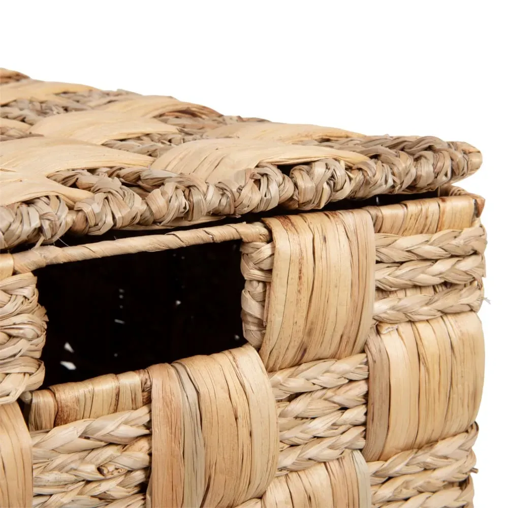 Illustration numéro 3 du produit Malle en jacinthe d'eau