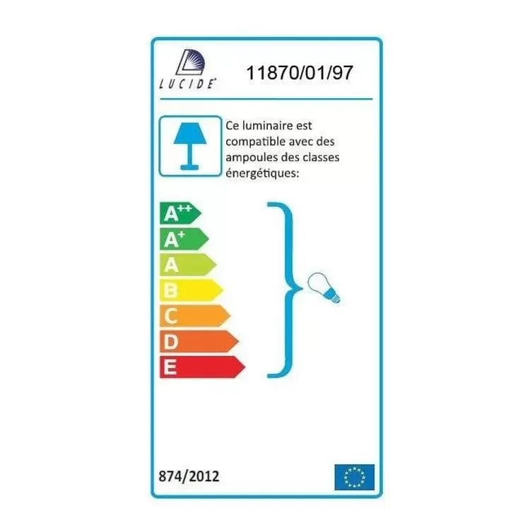 Illustration numéro 3 du produit Applique d'extérieur col de cygne métal et verre sablé H24cm