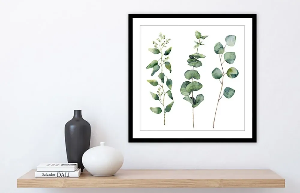 Illustration numéro 3 du produit Affiche aquarelle eucalyptus avec cadre 30x30 cm