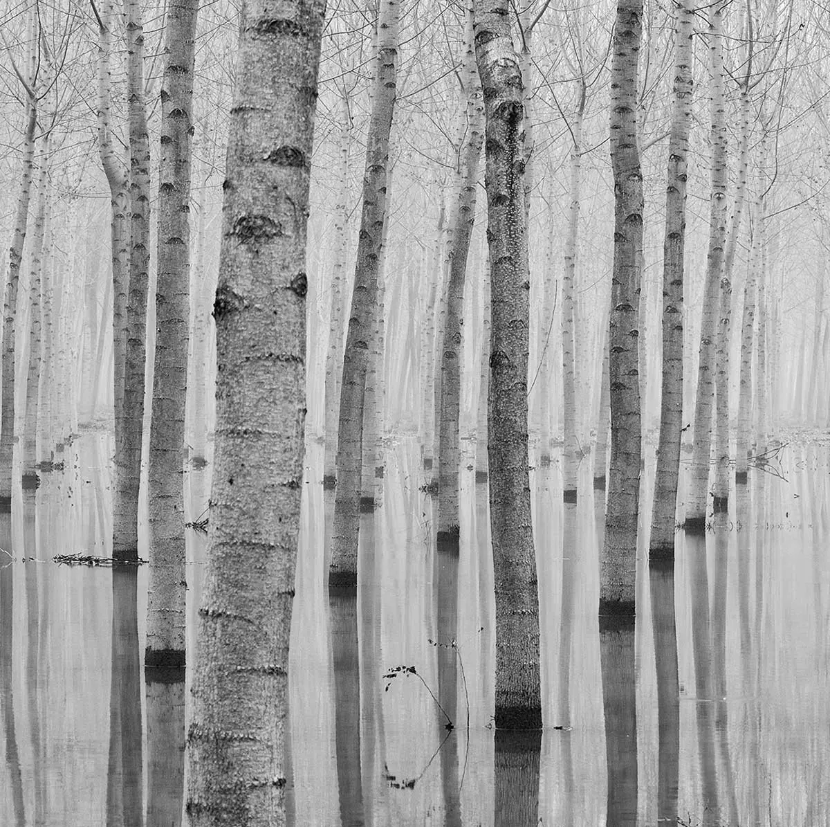 Illustration numéro 3 du produit Tableau automnale pieds dans l'eau imprimé sur toile 90x60 cm