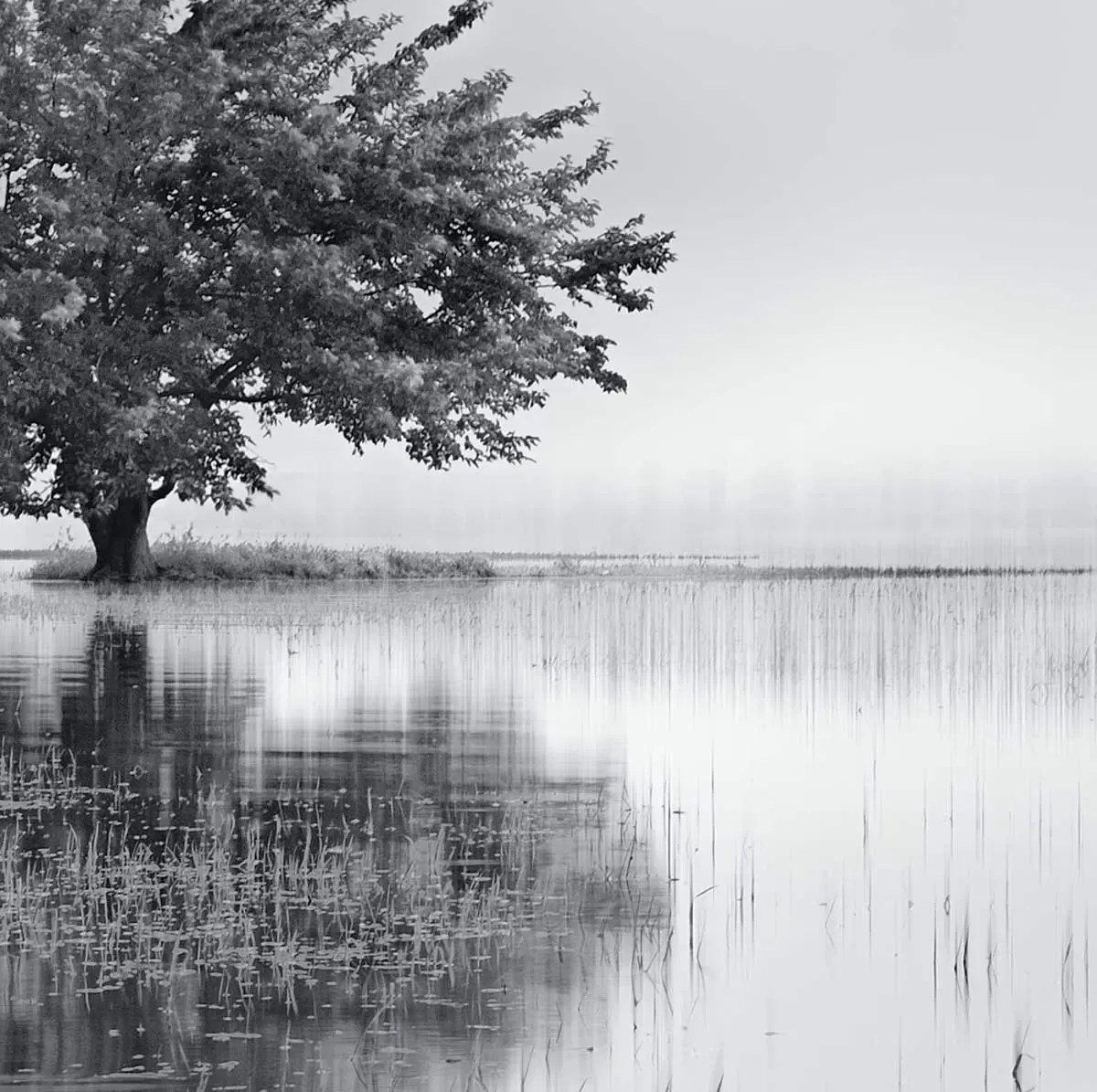 Illustration numéro 3 du produit Tableau nature reflets d'eau toile imprimée 120x80 cm