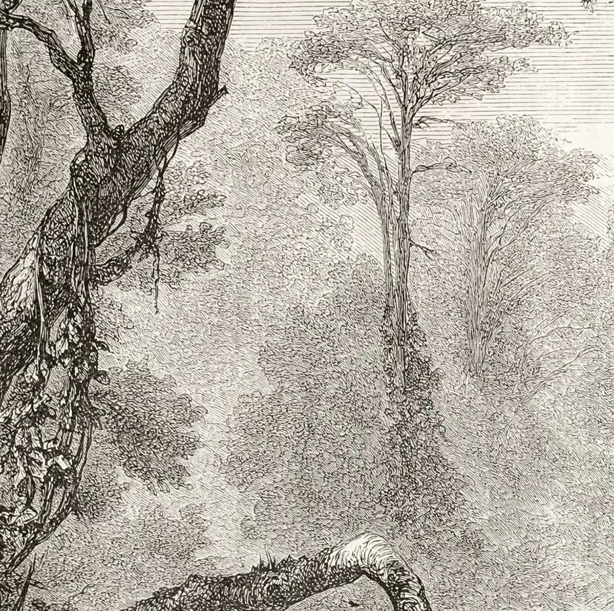 Illustration numéro 3 du produit Tableau gravure les bords du fleuve imprimé sur toile 90x60 cm