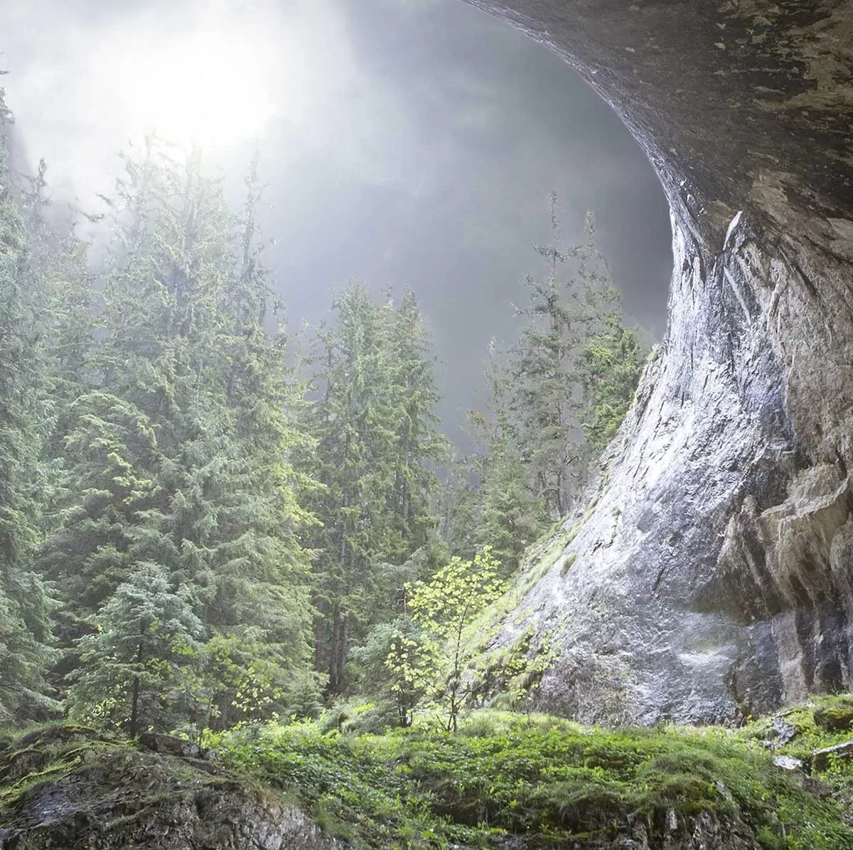 Illustration numéro 3 du produit Tableau coup d'oeil au paradis impression sur aluminium 90x60 cm