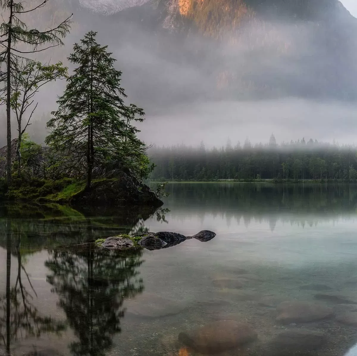 Illustration numéro 3 du produit Tableau nature's awakening toile imprimée 120x80 cm