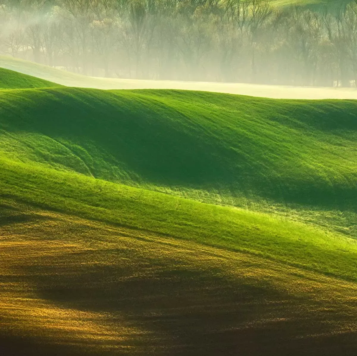 Illustration numéro 3 du produit Tableau nature collines brumeuses toile imprimée 120x80 cm