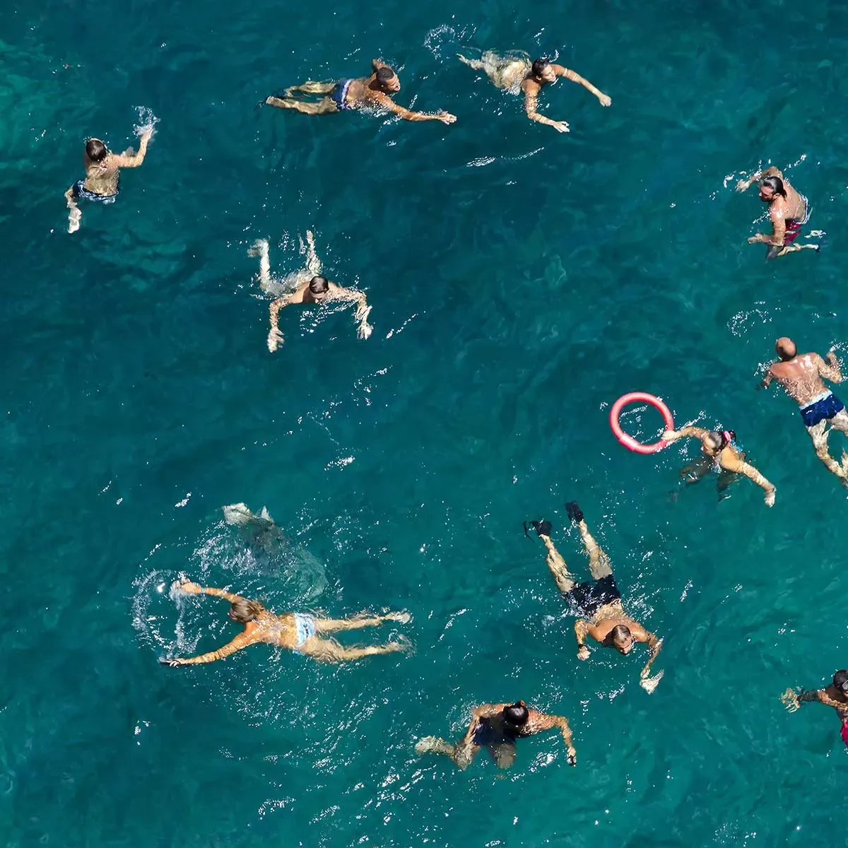 Illustration numéro 3 du produit Tableau tous à l'eau! impression sur aluminium 120x80 cm