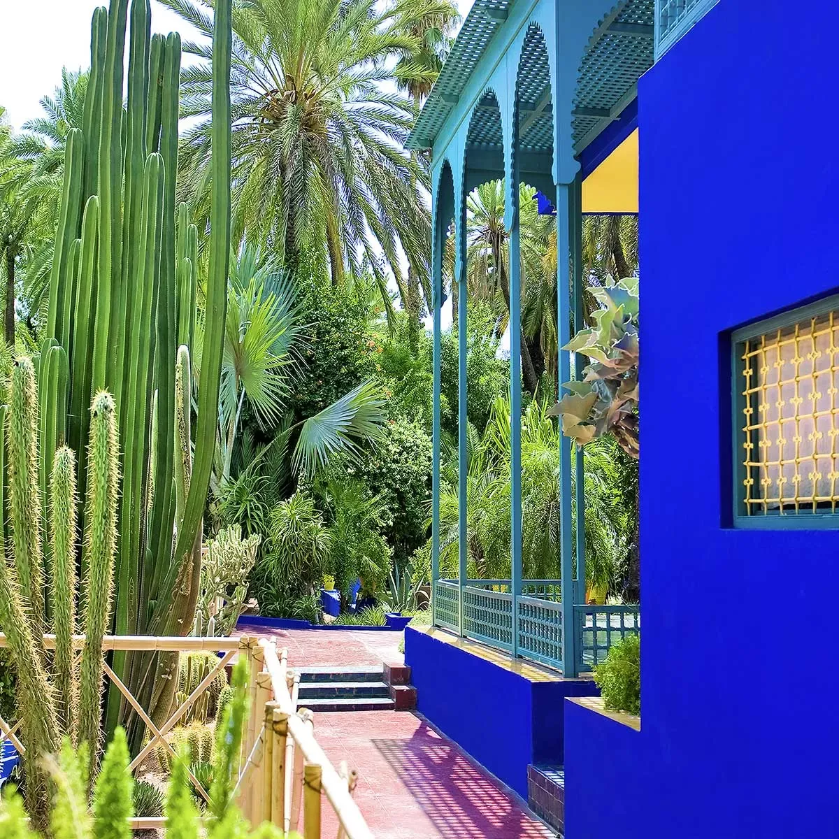 Illustration numéro 3 du produit Tableau jardin majorelle imprimé sur toile 90x60 cm