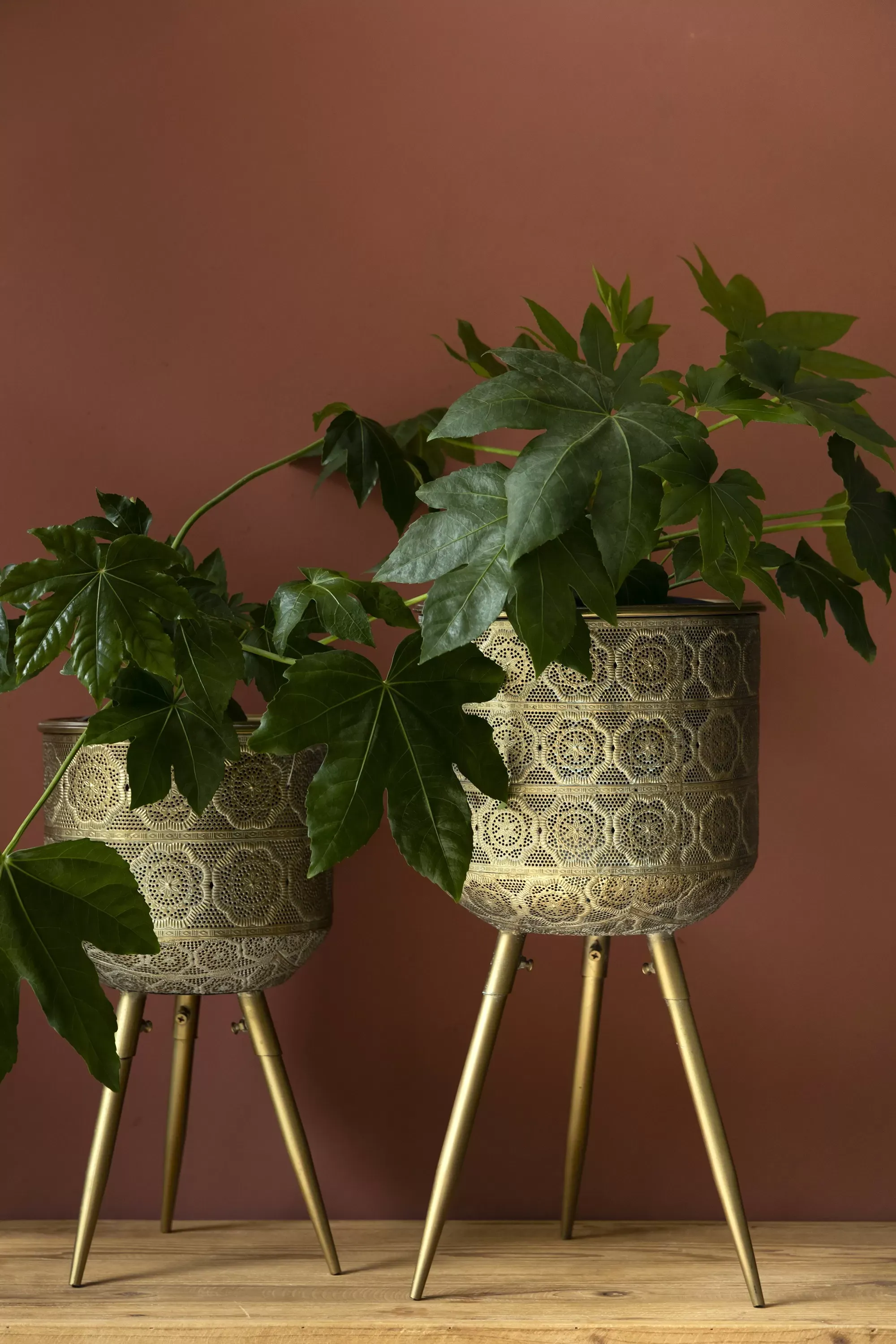 Illustration numéro 3 du produit Cache pot L en métal doré