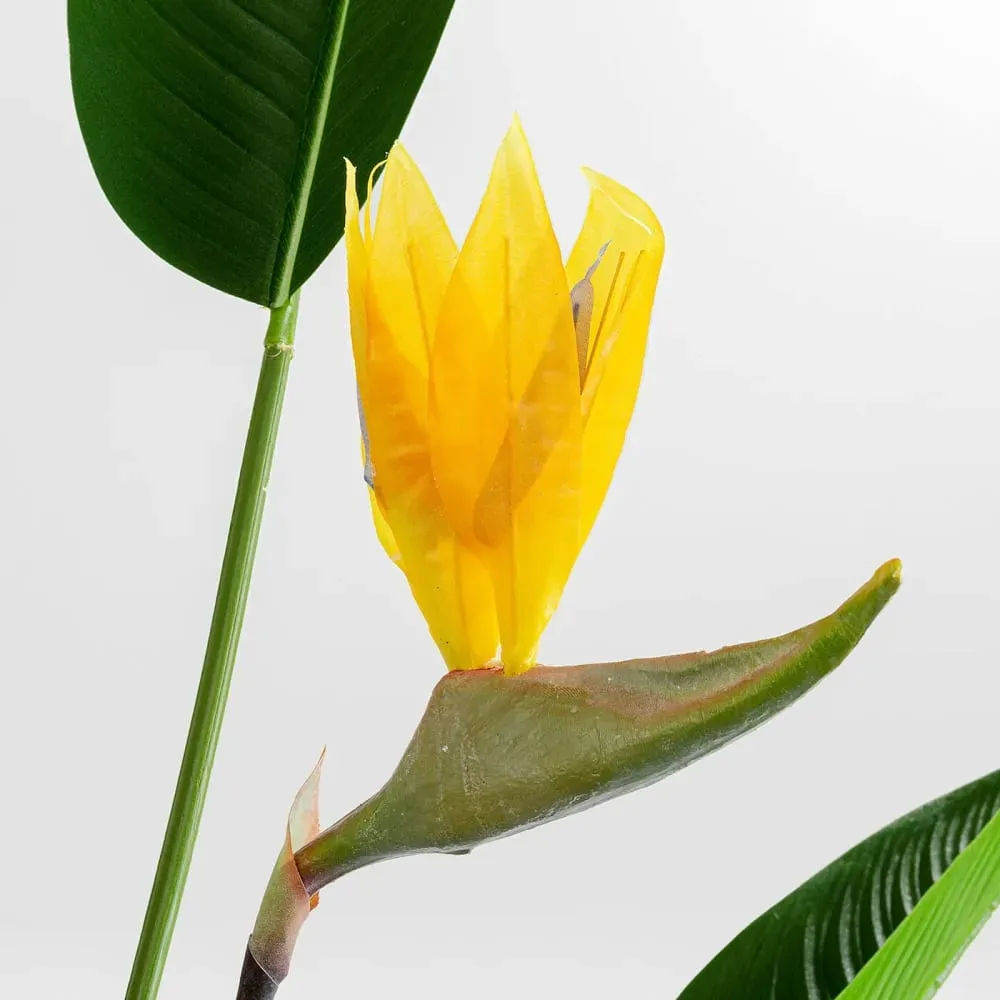 Illustration numéro 3 du produit Plante artificielle oiseau de paradis en polyéthylène et béton H190