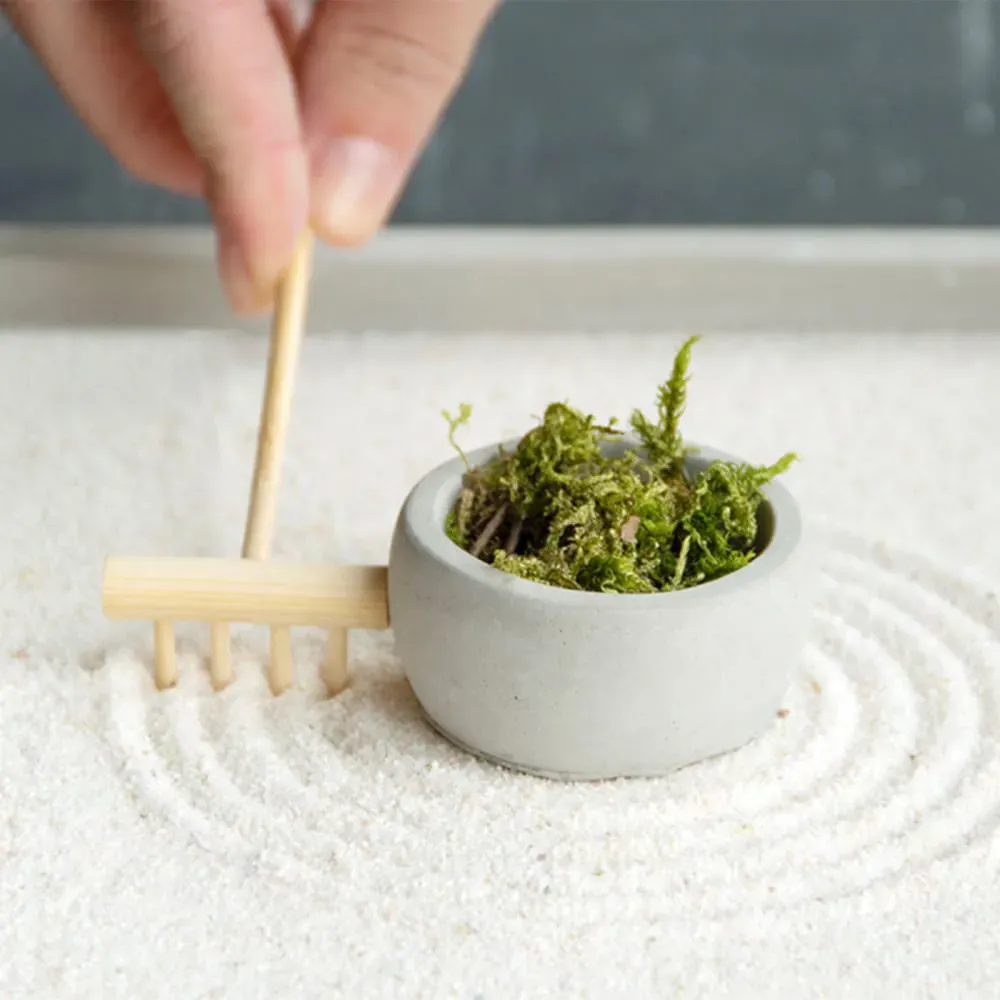 Illustration numéro 3 du produit Jardin zen carré 20 x 20 cm béton gris