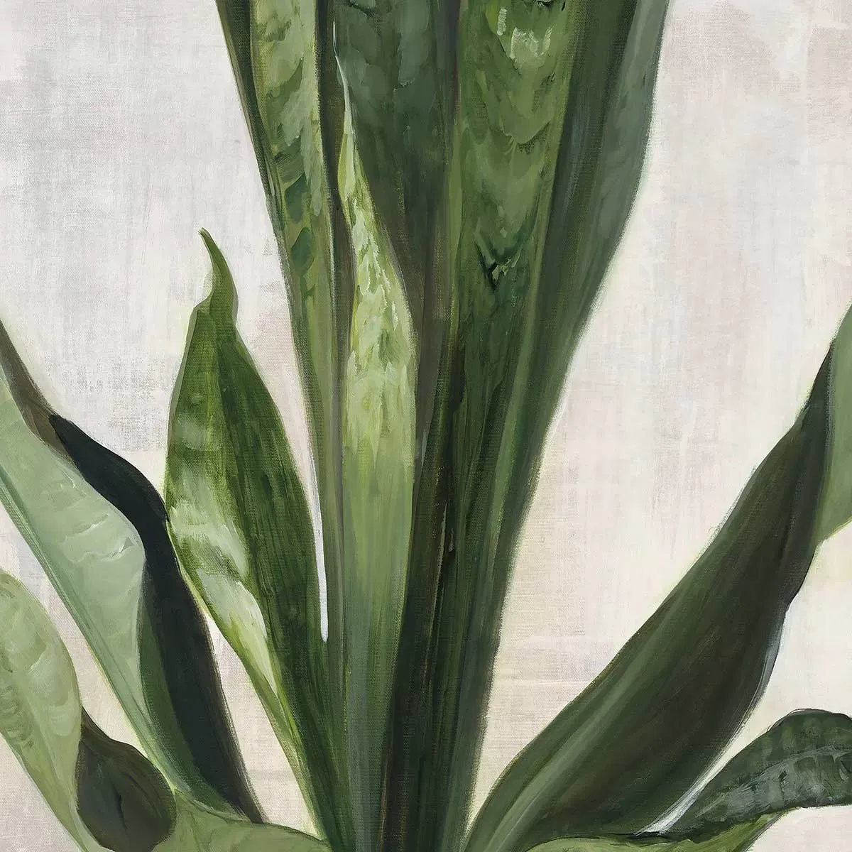 Illustration numéro 3 du produit Tableau sanseveria aquarelle imprimé sur toile 40x60 cm