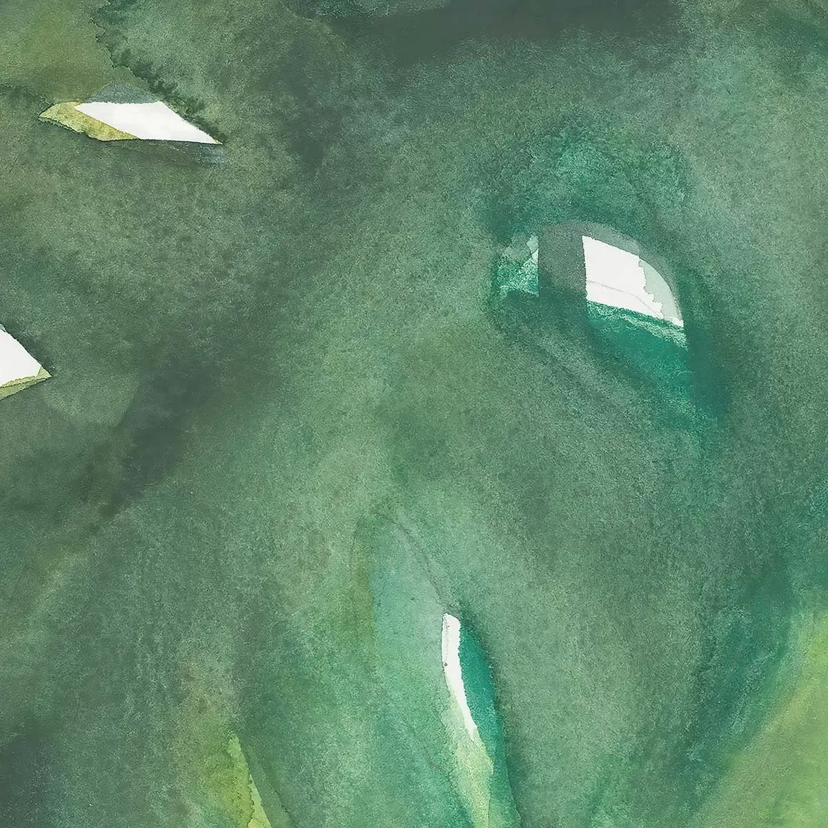 Illustration numéro 3 du produit Tableau plante aloe watercolor imprimé sur toile 50x50 cm