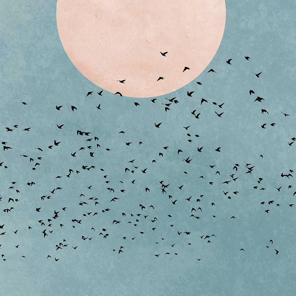 Illustration numéro 3 du produit Tableau paysage beauté du jour imprimé sur toile 60x90 cm