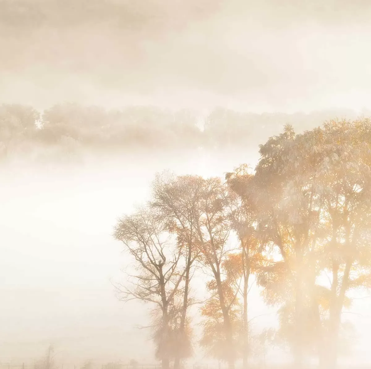 Illustration numéro 3 du produit Tableau terre du vent imprimé sur toile 90x60 cm