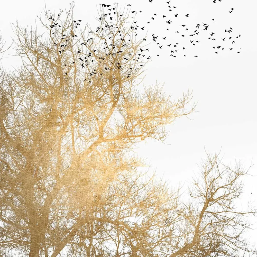 Illustration numéro 3 du produit Affiche dessin ciel d'or avec cadre noir 40x60  cm