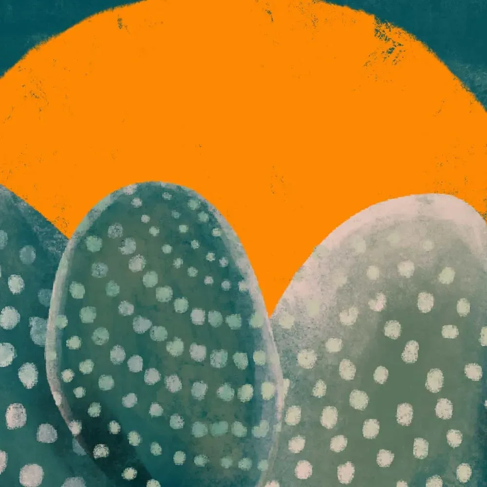 Illustration numéro 3 du produit Affiche illustration cactus et soleil orange avec cadre noir 50x50 cm