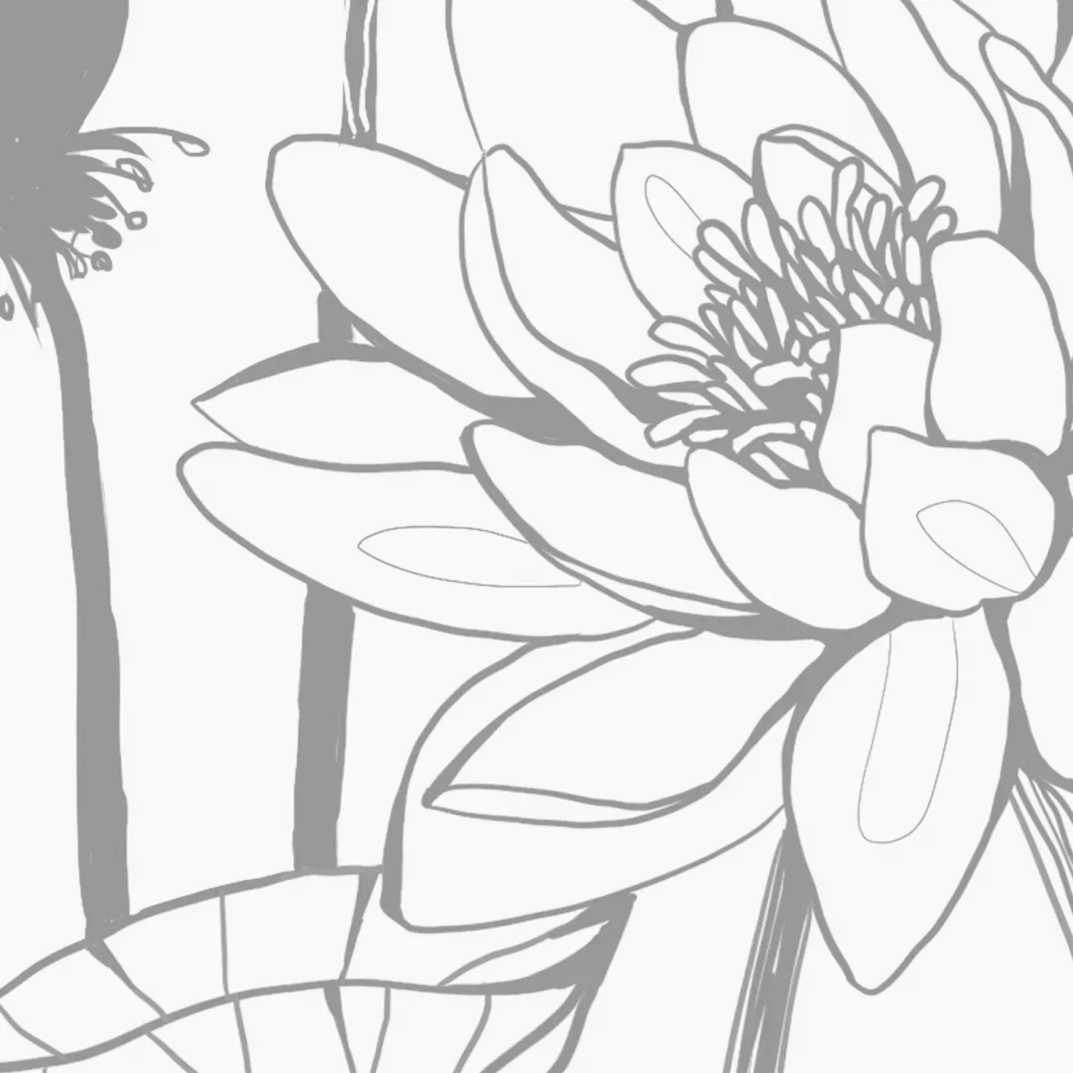 Illustration numéro 3 du produit Papier peint panoramique nympheas gris 340x250cm