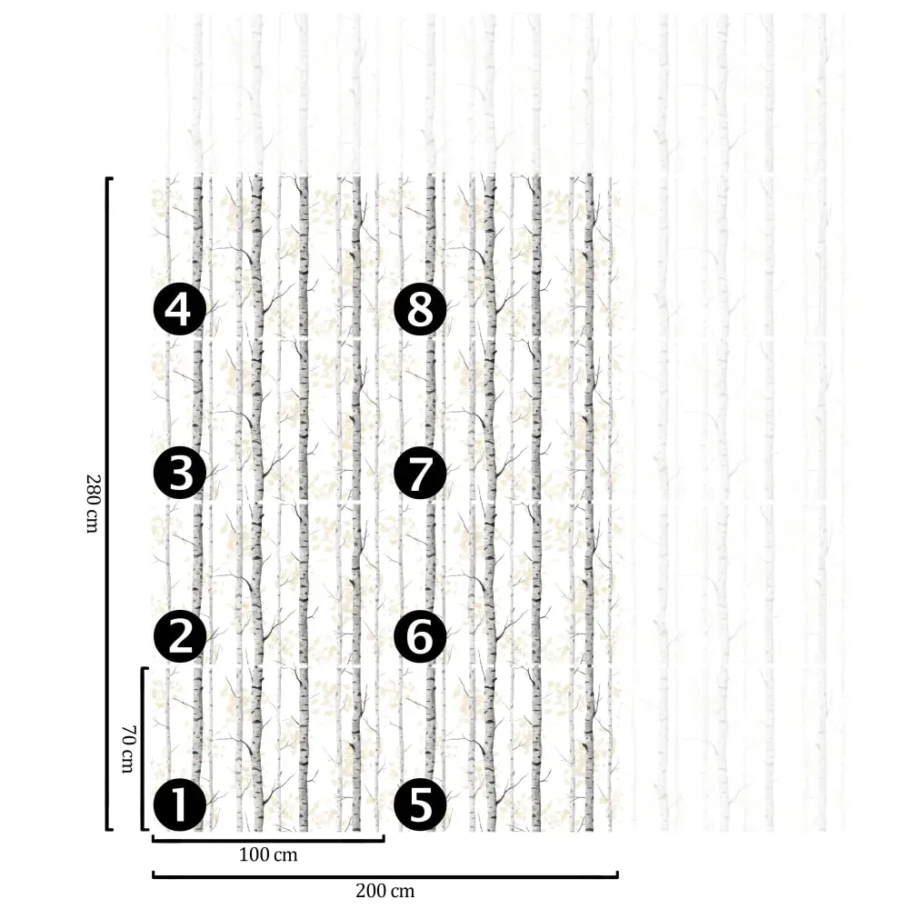 Illustration numéro 3 du produit Papier Peint Bouleaux,papier écologique fin,200x280cm,8 feuilles