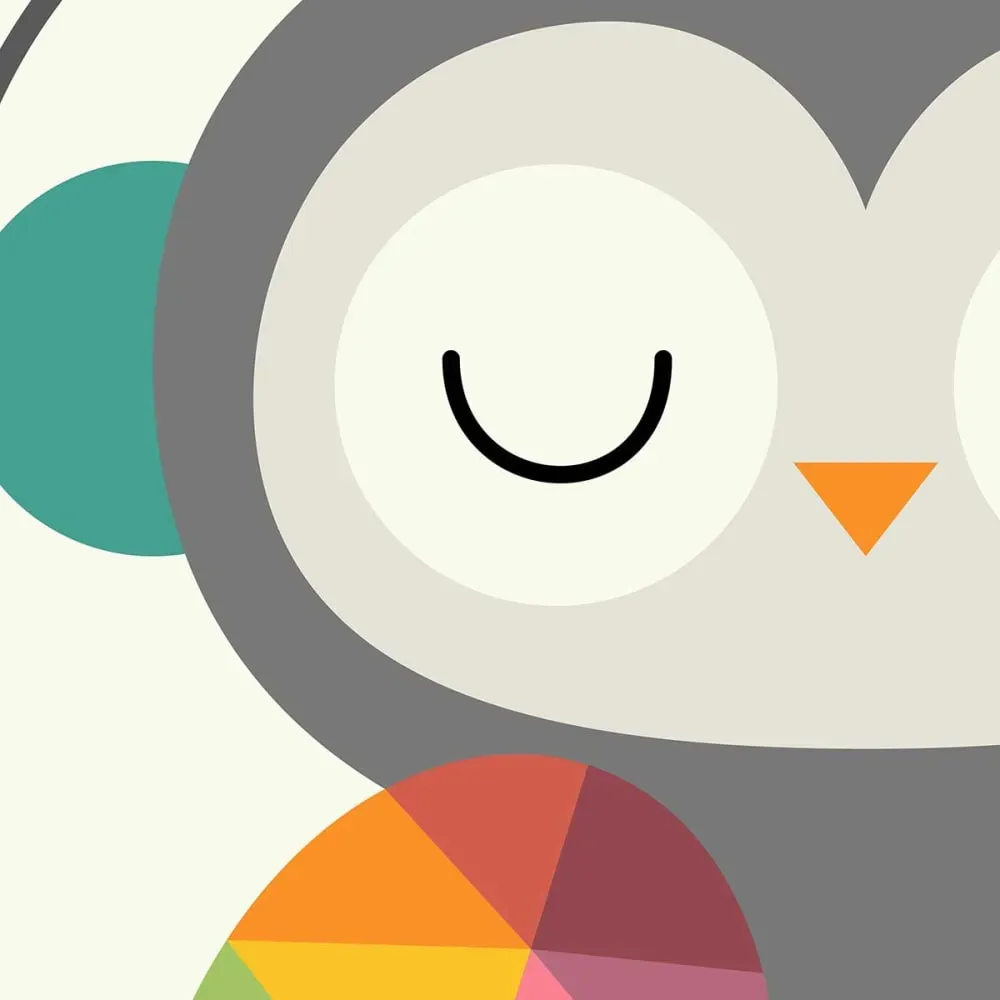 Illustration numéro 3 du produit Affiche  hibou music avec cadre noir 30x45 cm