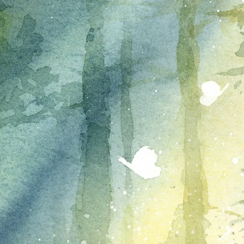 Illustration numéro 3 du produit Cadre déco bosquet ombragé imprimé sur toile 50x50 cm