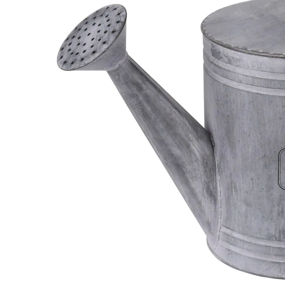 Illustration numéro 3 du produit Arrosoir en zinc déco