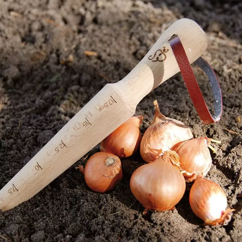 Illustration numéro 3 du produit Plantoir bois graduations bois naturel
