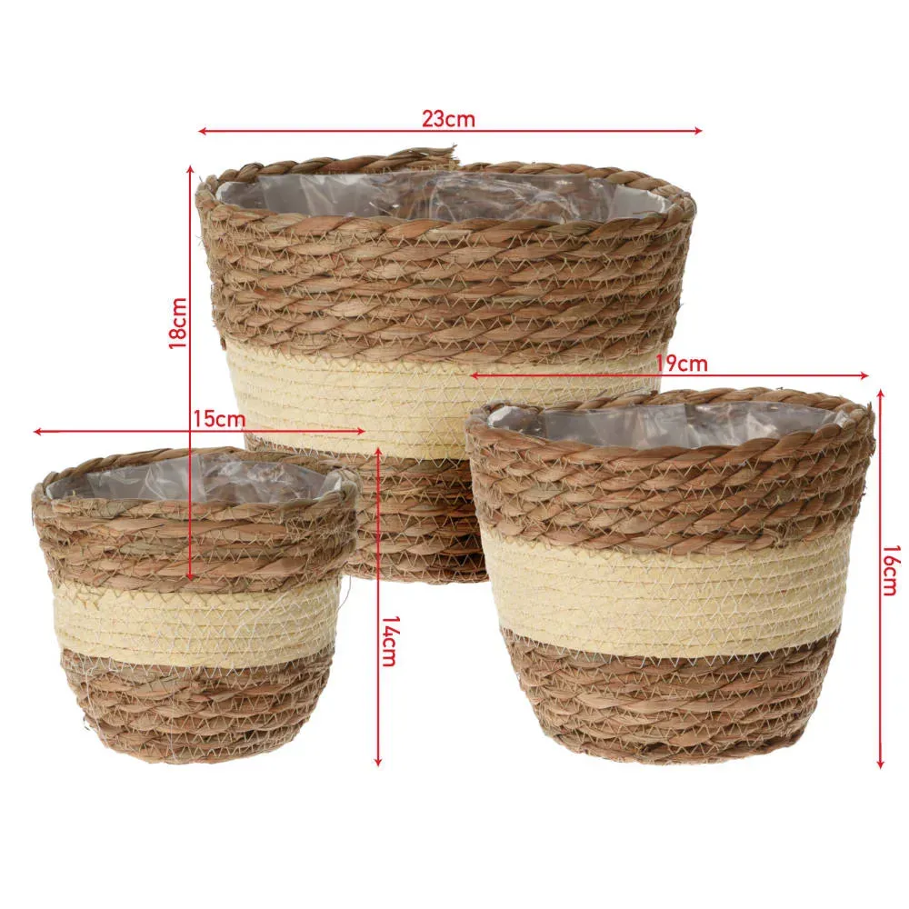 Illustration numéro 3 du produit Lot de 3 pots de fleurs en paille avec intérieur imperméable