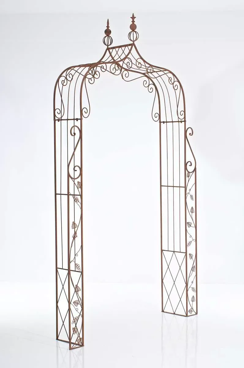 Illustration numéro 3 du produit Arche pour plantes grimpantes en métal Marron antique