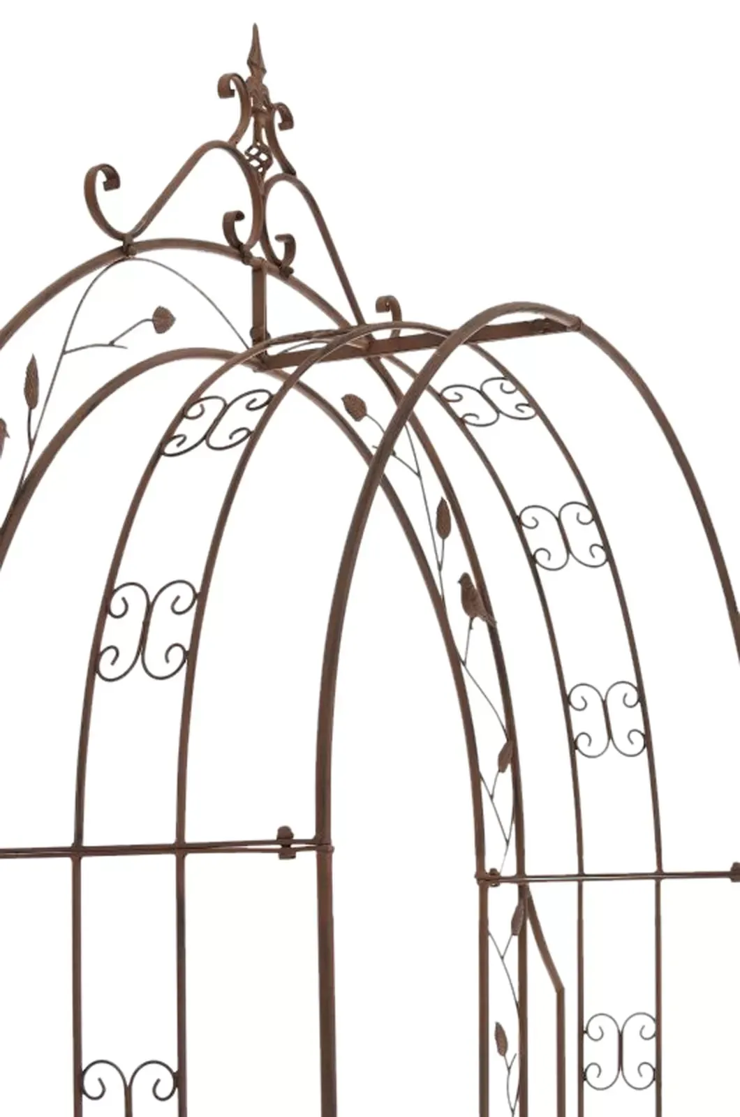 Illustration numéro 3 du produit Arche pour plantes grimpantes en métal Marron antique