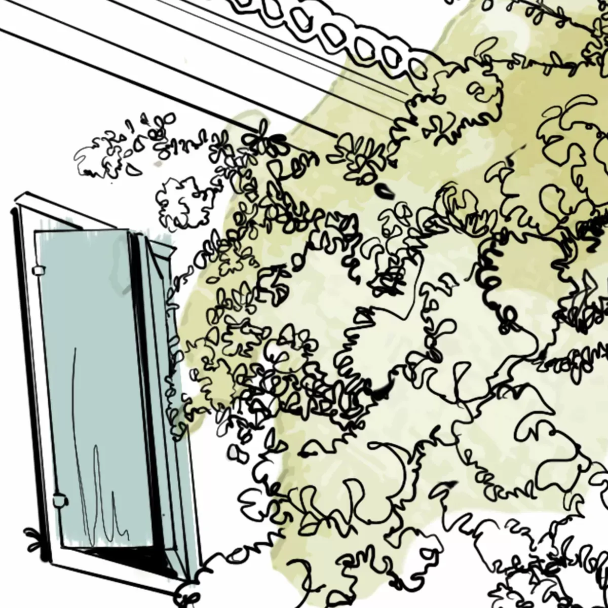 Illustration numéro 3 du produit Papier peint panoramique village en fleurs vert 450x250cm