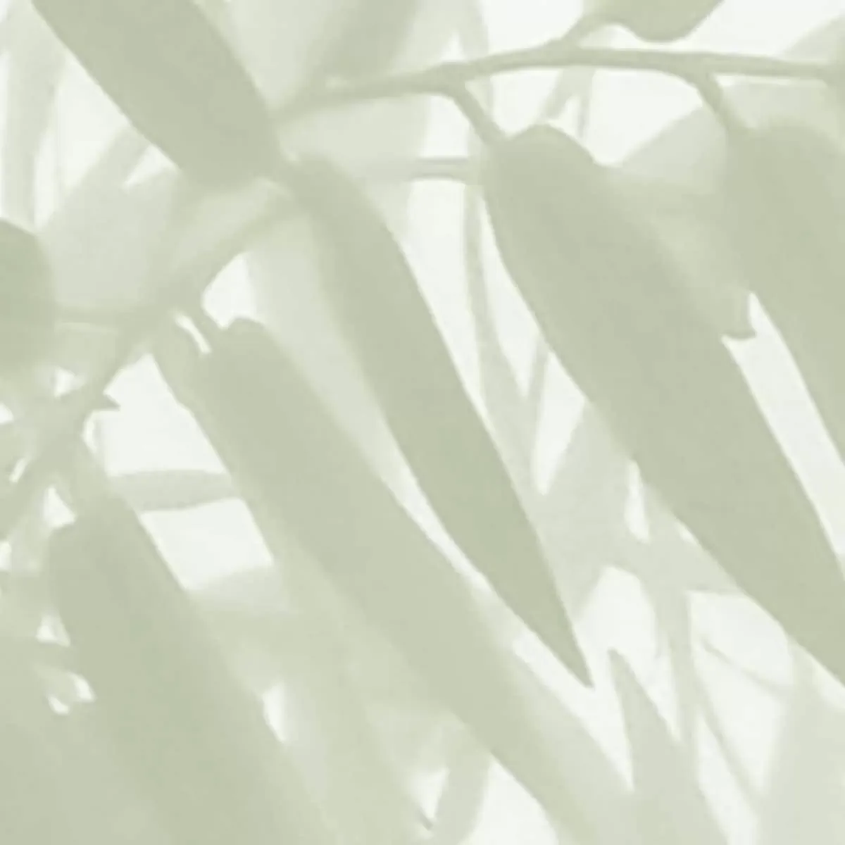 Illustration numéro 3 du produit Papier peint panoramique ombres bambous vert 300x250cm