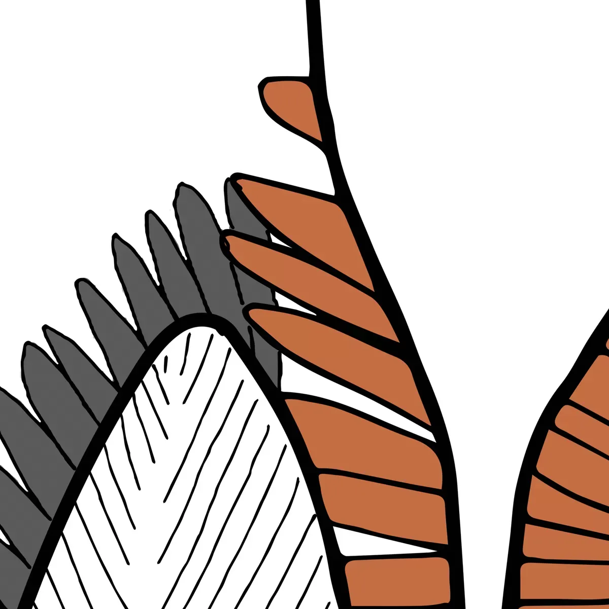 Illustration numéro 3 du produit Papier peint panoramique végétal gris 300x250cm