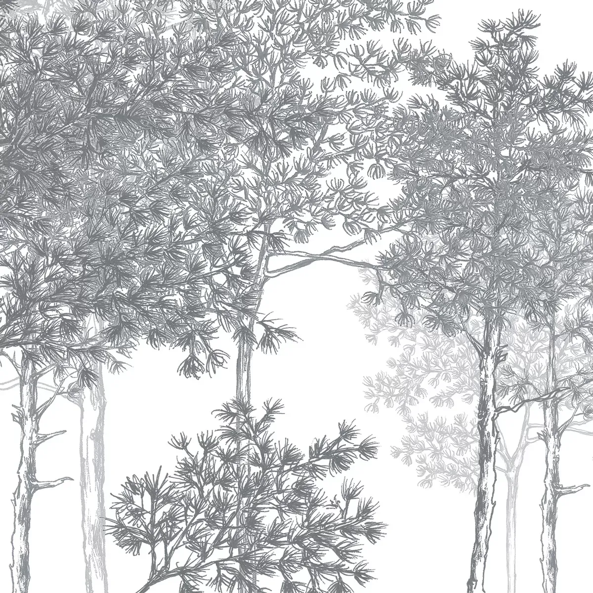 Illustration numéro 3 du produit Papier peint panoramique balade dans les bois gris 300x250cm