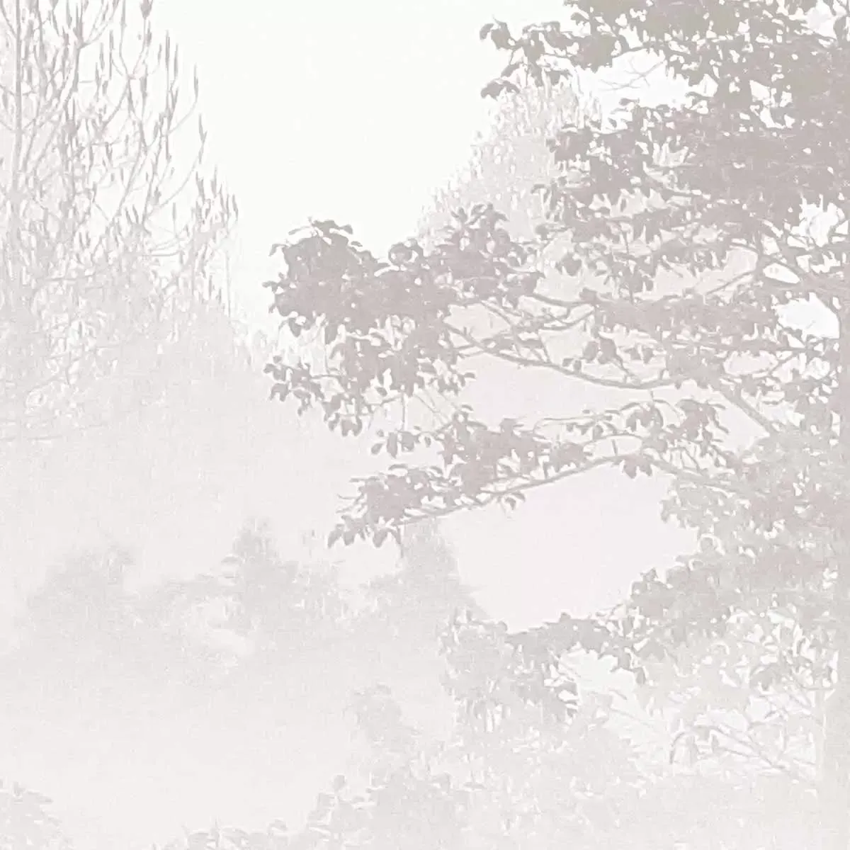 Illustration numéro 3 du produit Papier peint panoramique brumes matinales beige 375x250cm